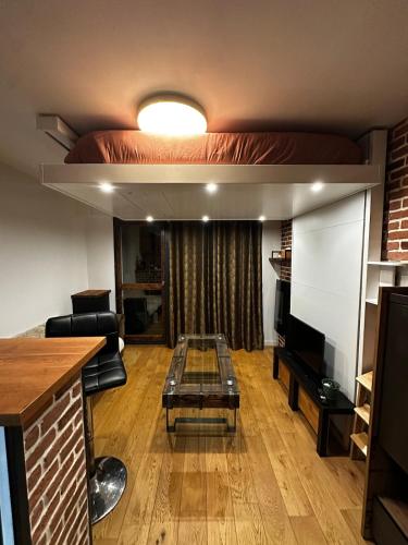 un salon avec un canapé et un lit dans l'établissement Charmant studio face Gare, à Annecy