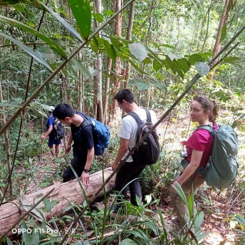 a group of people walking through the forest at Tribal Village Homestay & Trekking in Banlung