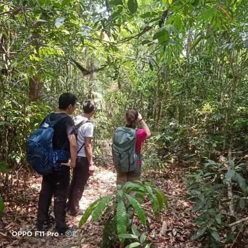 three people walking on a trail in the woods at Tribal Village Homestay & Trekking in Banlung