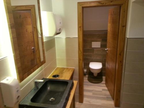 een kleine badkamer met een wastafel en een toilet bij Gasthof Pension Gregori in Bad Koetzting