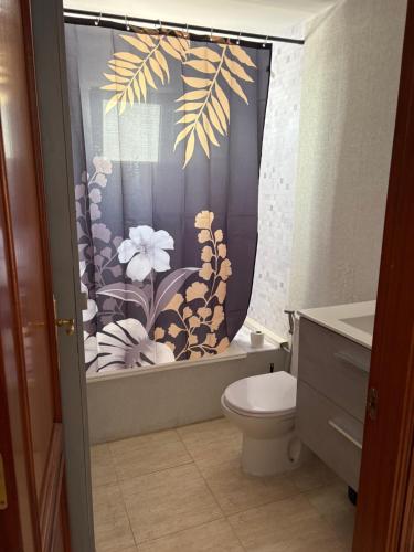 a bathroom with a toilet and a shower curtain at Apartamento casa típica canaria in Playa Honda