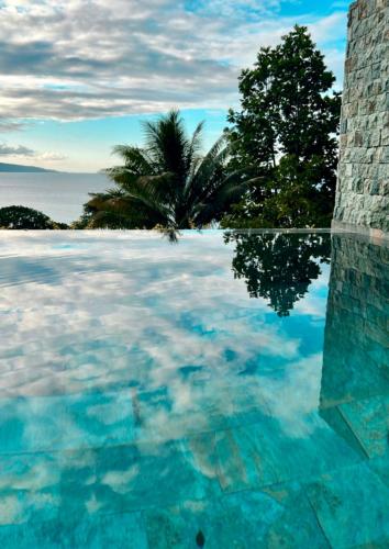 a swimming pool with a palm tree and the ocean at Les Chalets de Afaahiti - Fare Keanu in Tiitau