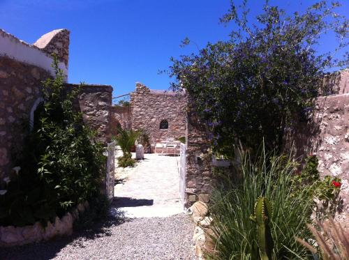 Κήπος έξω από το Villa Salvatore
