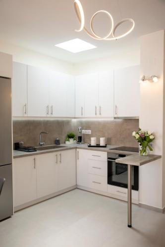 Dapur atau dapur kecil di Fani's House