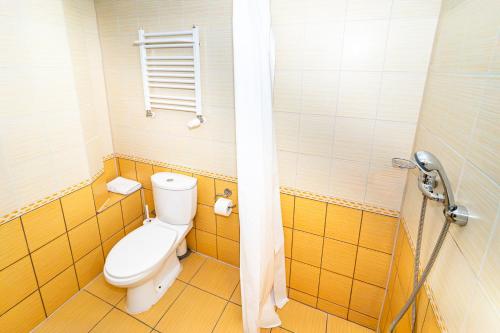 a small bathroom with a toilet and a shower at Folwark Nadmorska Ostoja in Mechelinki