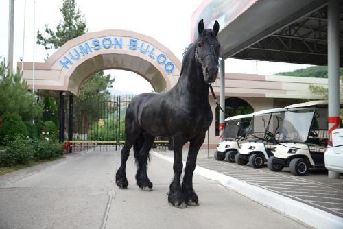 a statue of a horse in front of a building at HUMSON BULOQ SANATORIUM in Khumson