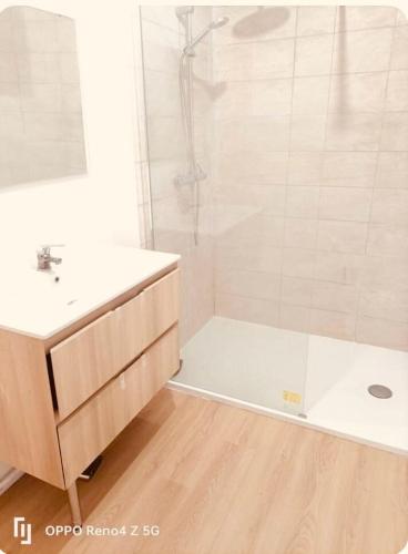 une salle de bain blanche avec une douche et un lavabo dans l'établissement Maison jardin spa a Bordeaux, à Mérignac