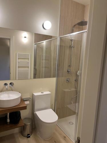 a bathroom with a shower and a toilet and a sink at Hotel Rural Casa del Oso in El Oso