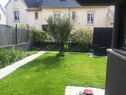 - un petit jardin avec un arbre dans la cour dans l'établissement Ma Cabane Jardin en Ville, à Rennes