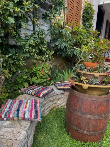 a barrel with potted plants sitting next to a house at Villa Eva's in Himare
