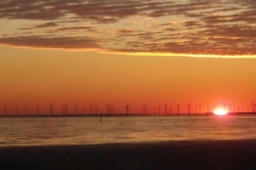 a wind farm in the ocean at sunset at Family Holiday With Sea View In Gedser Feriepark in Gedser