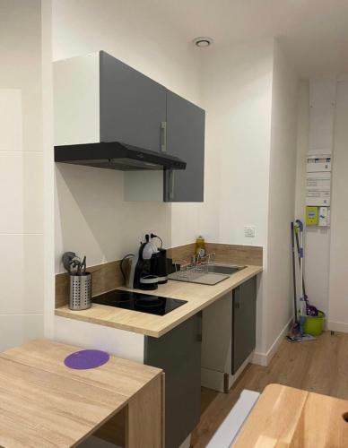 une cuisine avec un évier et une cuisinière four supérieur dans l'établissement T1 Le Aynard, à Villeurbanne