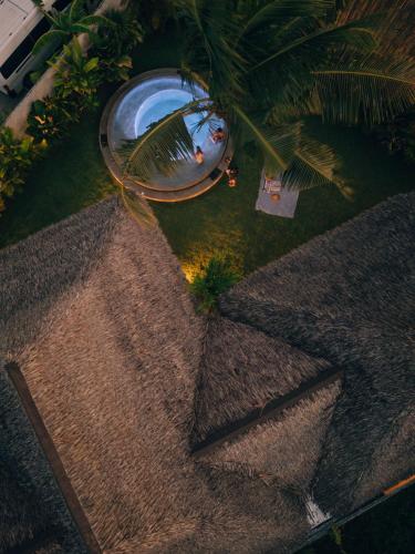 una vista dall'alto di una piscina con una palma di Mémé Villa Siargao a General Luna