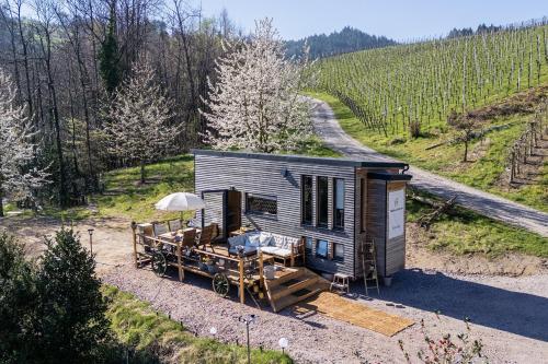 an aerial view of a tiny house in a vineyard at Weingut und Ferienhof Josef Huber in Oberkirch