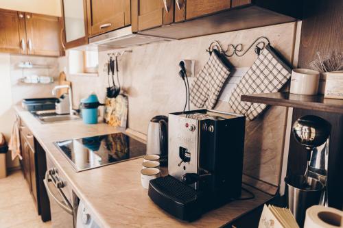 a kitchen with a coffee maker on a counter at Vila Gardenia in Gumoshtnik