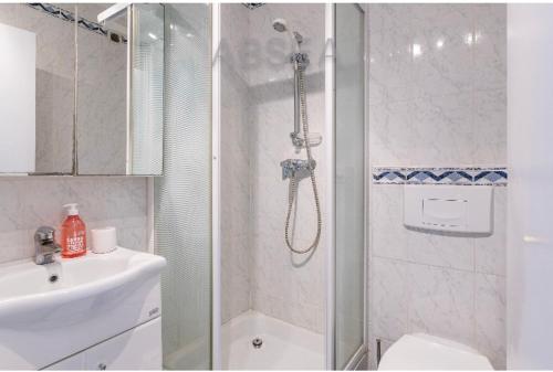 une salle de bain avec une douche, des toilettes et un lavabo dans l'établissement Bells terres Nice grand appartement vue mer et jardin,piscine, à Nice