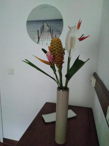 Foto sihtkohas Sarraméa asuva majutusasutuse Bungalow Évasion 6 galeriist