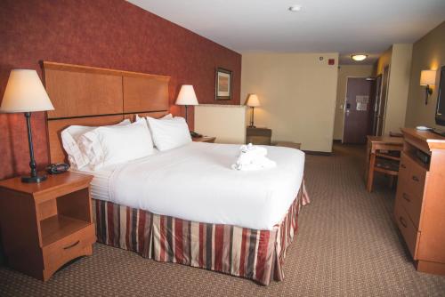 a hotel room with a bed with a stuffed animal on it at Holiday Inn Express Hotel & Suites Loveland by IHG in Loveland