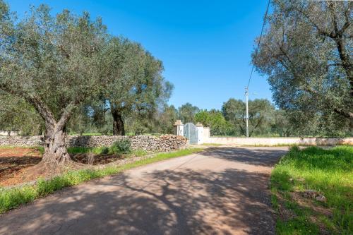Un paisaje natural cerca de la casa vacacional