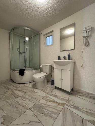 e bagno con servizi igienici, doccia e lavandino. di Vila Ana 2 Untold a Cluj-Napoca