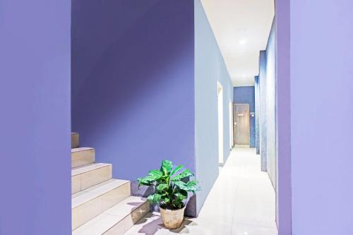 a hallway with blue walls and a potted plant at Hotel O Mandala Near Universitas Negeri Medan UNIMED in Medan