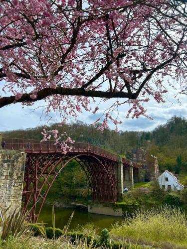 a bridge with a tree with pink flowers on it at Ironbridge town apartment in Ironbridge