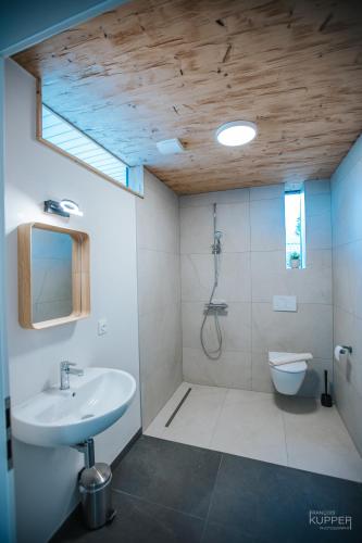 a bathroom with a sink and a toilet at Le Noir Flohay 30 pers - Malmedy, vue, wellness in Malmedy
