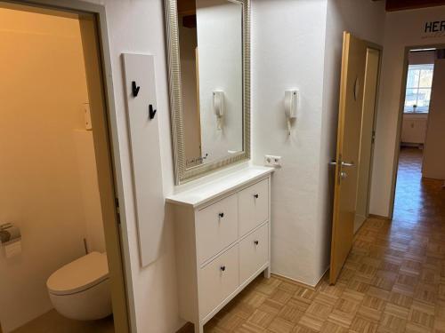 a bathroom with a toilet and a mirror at Köpplmühle Apartment in Freistadt