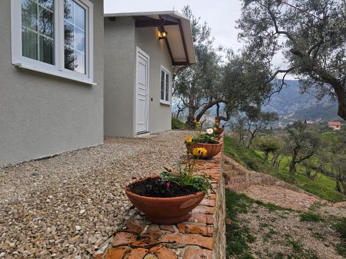 3 Bungalows at Mali Camping Kruje