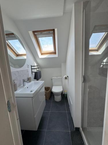 La salle de bains est pourvue d'un lavabo, de toilettes et d'une lucarne. dans l'établissement Appartement Cosy à Tours - Parc EXPO, à Tours