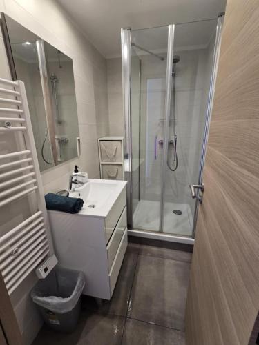 La salle de bains est pourvue d'une douche et d'un lavabo blanc. dans l'établissement Superbe Appartement Familial, à Cannes