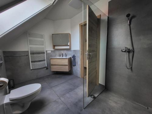Un baño con ducha, inodoro y lavabo. en Galamb Vendégház, en Vonyarcvashegy