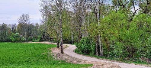 a dirt road in the middle of a field with trees at Ranczo Wyszowate Domki in Wyszowate