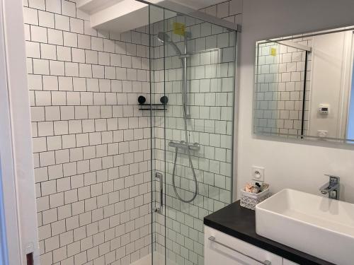 une salle de bain avec douche et lavabo dans l'établissement Au toit de la cathédrale, à Sens