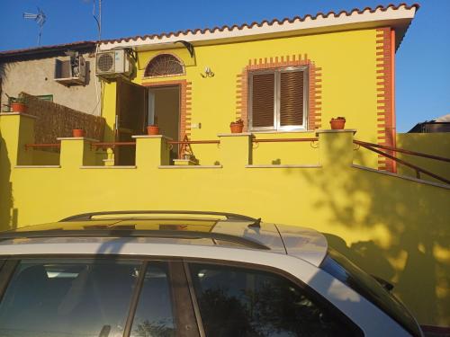 Sunflower's home