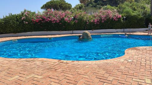 una piscina con agua azul y flores rosas en Villa Edith, en Parghelia