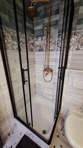 a shower stall in a bathroom with a toilet at Gutenberg Villa in Balatonalmádi