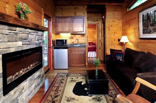 Kuchyň nebo kuchyňský kout v ubytování Tree House-Style Luxury Cabin in the Blue Ridge Mountains, North Carolina