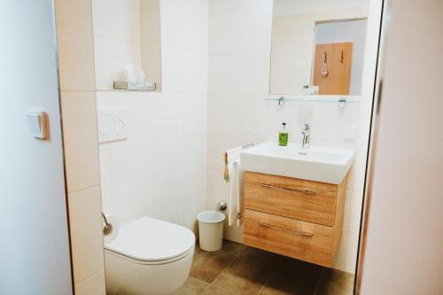a white bathroom with a toilet and a sink at Hotel Brücklwirt in Niklasdorf