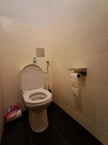a bathroom with a white toilet in a room at Stilvolles Panorama-Appartement in Zirkitz