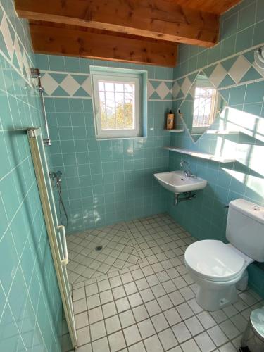une salle de bain bleue avec des toilettes et un lavabo dans l'établissement Petite maison de campagne, à Digne-Les-Bains