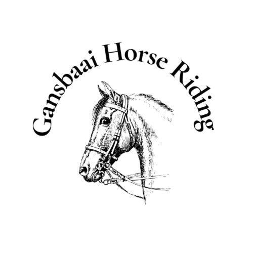 a drawing of a horse with the words knight horse rise at Felicita Country Lodge in Stanford