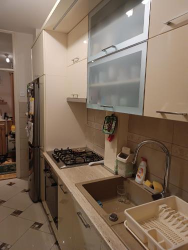 a kitchen with a sink and a stove at Dunav centar 7 in Smederevo