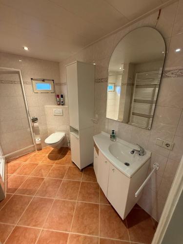a bathroom with a sink and a toilet and a mirror at Ruim Chalet Luxe 28 in Ledeacker
