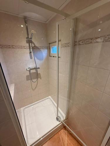 a shower with a glass door in a bathroom at Ruim Chalet Luxe 28 in Ledeacker
