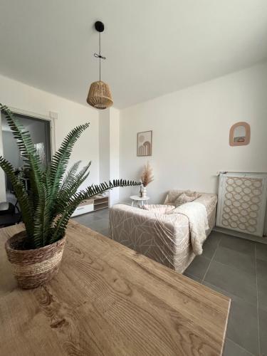 un salon avec un canapé et une plante en pot dans l'établissement T3 - 5pers - Proche toutes commodités - quartier recherché - Court et long séjour - Cosy - Lumineux - Fonctionnel, à Toulon
