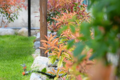 a garden with a fence and some plants at RUSTICO ALLE MURA Love & Bike in Toirano