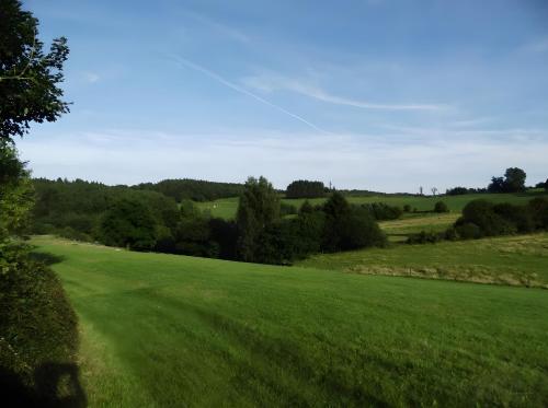 a green field of grass with trees in the background at Apartment Neuenrade in Neuenrade