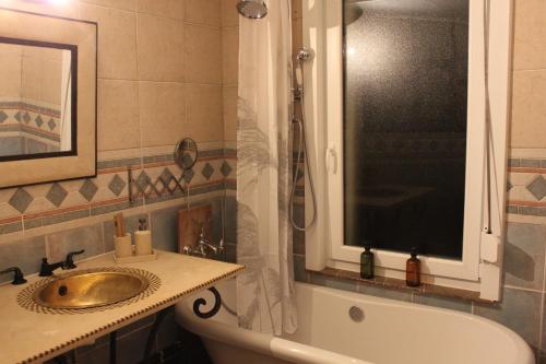 a bathroom with a sink and a shower at O' Domaine des Folies in Grand-Fayt