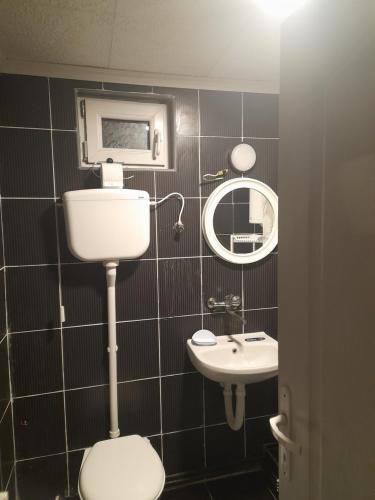 a small bathroom with a toilet and a sink at 3M sobe in Bečej